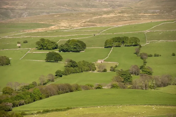 Framed Print : View of fields with trees and drystone walls, near Kirkby Stephen, Upper Eden Valley, Cumbria, England, June