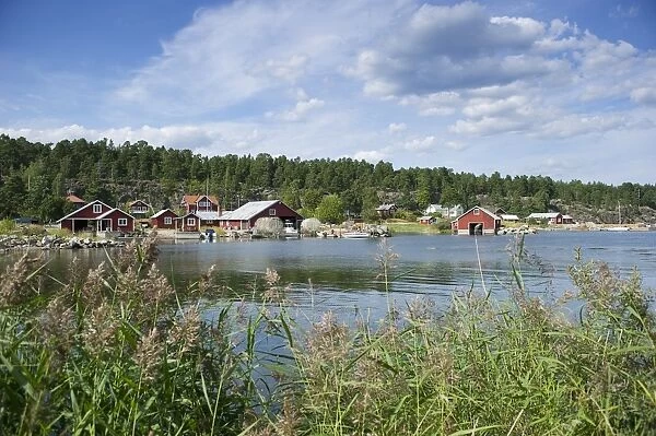 View of fishing village with boathouses, Bonan, Gastrikland, Norrland, Baltic Sea, Sweden, august