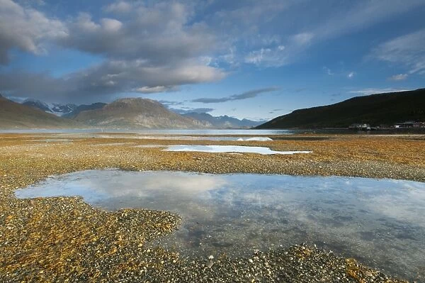 View of fjord during low tide at sunrise, Skibotn, Lyngen Fjord, Troms County, Lapland, North Norway, September