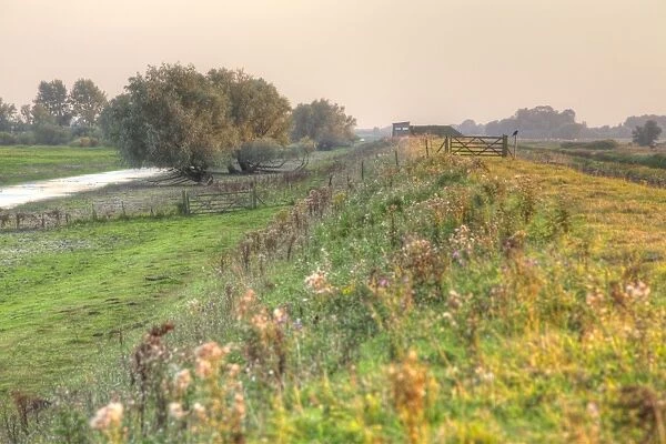 View along flood embankment on wetland nature reserve towards birdwatching hide in evening sunlight, RSPB Ouse Washes