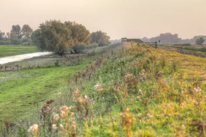 Framed Print : View along flood embankment on wetland nature reserve towards birdwatching hide in evening sunlight, RSPB Ouse Washes Framed Print : View along flood embankment on wetland nature reserve towards birdwatching hide in evening sunlight, RSPB Ouse Washes