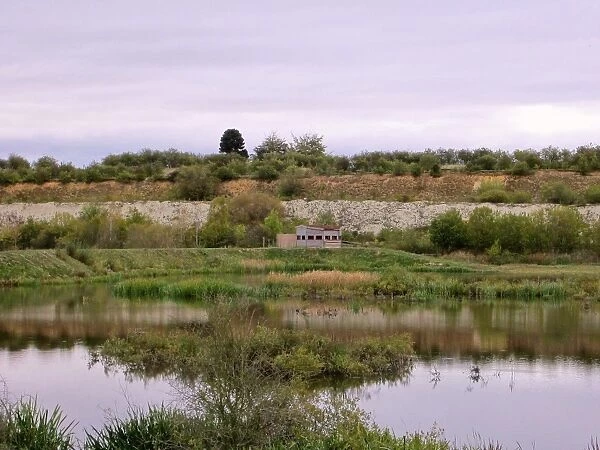 View of flooded former chalk quarry habitat, College Lake Nature Reserve, Tring, Hertfordshire, England, october