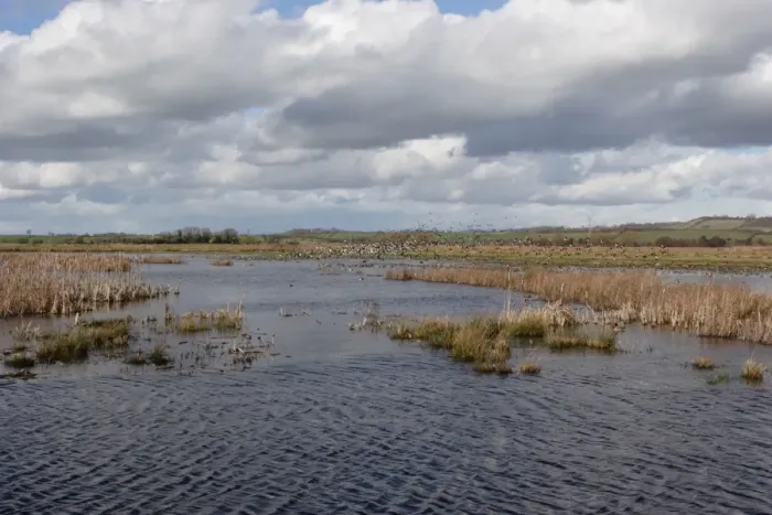 Framed Print : View of flooded floodplain grassland and wetland habitat, Greylake RSPB Reserve, Somerset Levels, Somerset, England