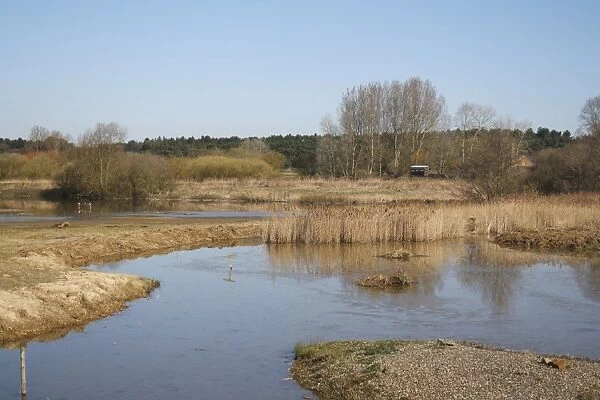 View of flooded former gravel pit habitat, Jasons Pool, Lackford Lakes Nature Reserve, Suffolk, England, march