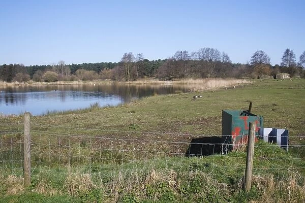 View of flooded former gravel pit habitat, Plover Lake, Lackford Lakes Nature Reserve, Suffolk, England, march