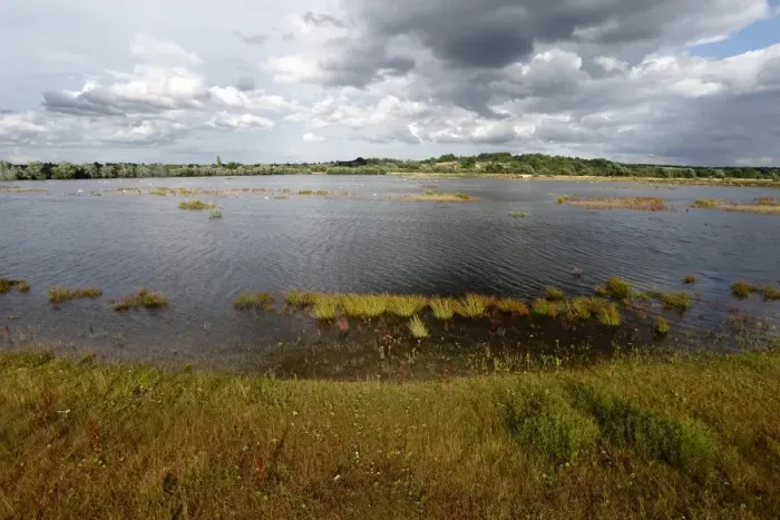 Framed Print : View of flooded former gravel quarry habitat, Middleton Lakes RSPB Reserve, Middleton, Warwickshire, England, July Framed Print : View of flooded former gravel quarry habitat, Middleton Lakes RSPB Reserve, Middleton, Warwickshire, England, July