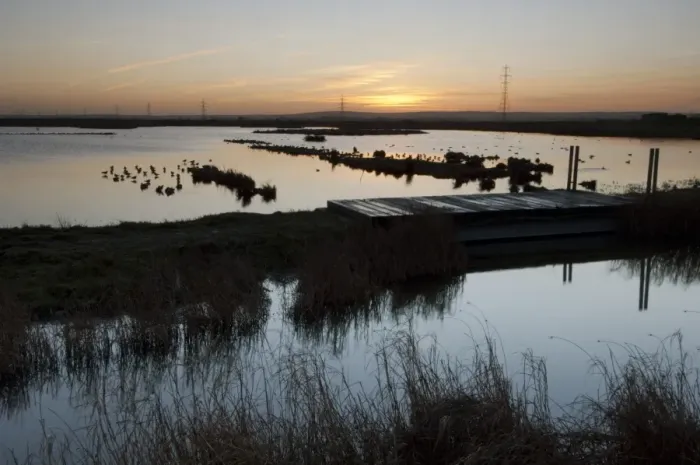 Framed Print : View of flooded wetland habitat at sunrise, Oare Marshes Nature Reserve, Kent Wildlife Trust, Kent, England, december Framed Print : View of flooded wetland habitat at sunrise, Oare Marshes Nature Reserve, Kent Wildlife Trust, Kent, England, december