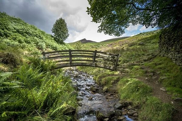 View with footbridge over stream, with Rowan (Sorbus aucuparia), heather and bracken on moorland, Grindsbrook Clough