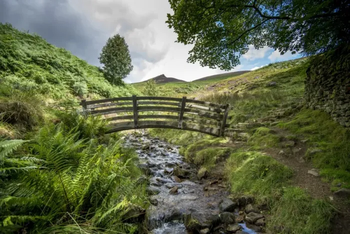 Framed Print : View with footbridge over stream, with Rowan (Sorbus aucuparia), heather and bracken on moorland, Grindsbrook Clough Framed Print : View with footbridge over stream, with Rowan (Sorbus aucuparia), heather and bracken on moorland, Grindsbrook Clough