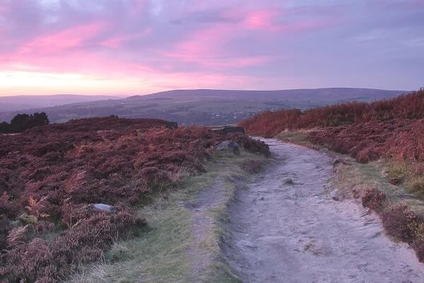 View of footpath on heather moorland at sunset, Ilkley Moor (SSSI), Rombalds Moor, Ilkley, Wharfedale, West Yorkshire