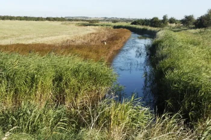 Framed Print : View of freshwater dyke and coastal grazing marsh habitat, West Canvey Marsh RSPB Reserve, Canvey Island Framed Print : View of freshwater dyke and coastal grazing marsh habitat, West Canvey Marsh RSPB Reserve, Canvey Island