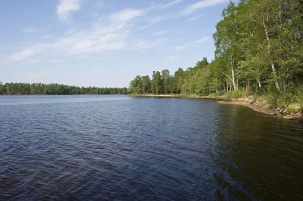 View of freshwater lake habitat, Lake Holsljunga, Vastergotland, Sweden, may