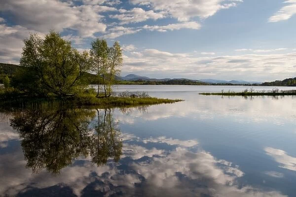 View of freshwater loch with clouds and trees reflected in still water, Loch Insh, Cairngorms N. P