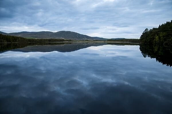 View of freshwater loch with cloudy sky reflected in still water at dusk, Loch Garten, Abernethy Forest N. N. R