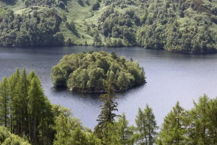 Framed Print : View of freshwater loch with forested island, Loch Katrine, Stirling, Scotland, July Framed Print : View of freshwater loch with forested island, Loch Katrine, Stirling, Scotland, July