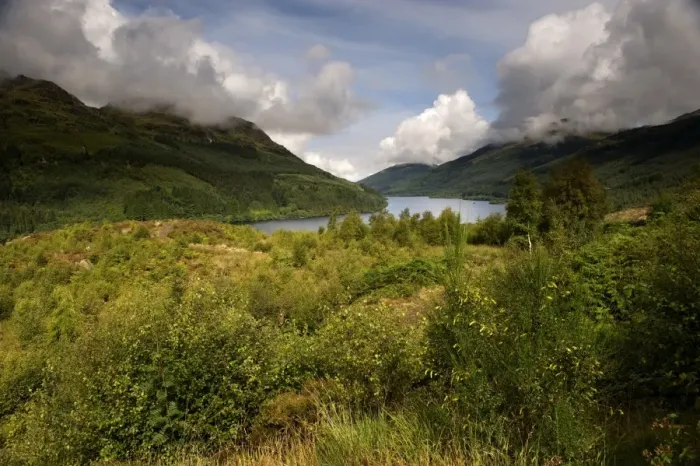 Framed Print : View of freshwater loch, Loch Eck, Argyll and Bute, Scotland, august Framed Print : View of freshwater loch, Loch Eck, Argyll and Bute, Scotland, august