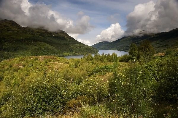 View of freshwater loch, Loch Eck, Argyll and Bute, Scotland, august