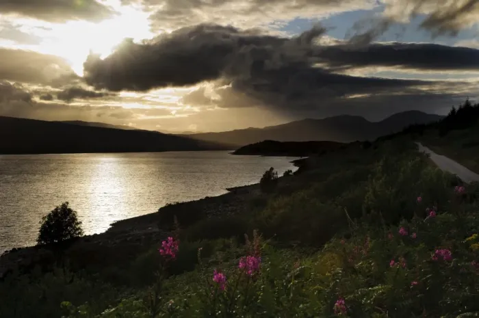 Framed Print : View of freshwater loch at sunset, with Rosebay Willowherb (Chamerion angustifolium) flowering in foreground