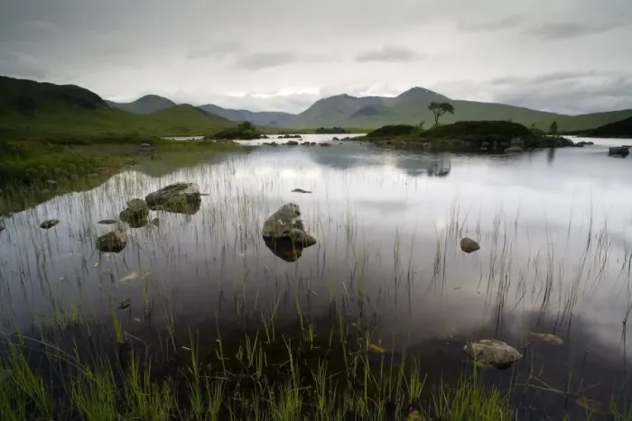 Framed Print : View of freshwater loch on upland plateau, Rannoch Moor, Highlands, Scotland, june Framed Print : View of freshwater loch on upland plateau, Rannoch Moor, Highlands, Scotland, june