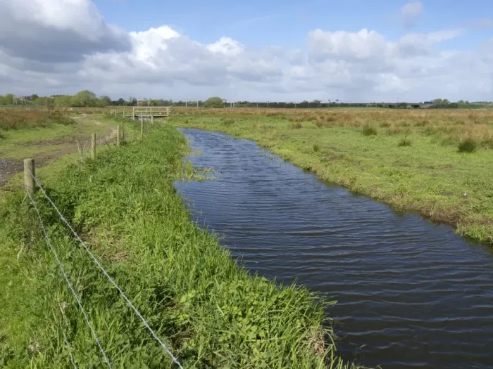 Framed Print : View of freshwater marshland and wet grassland habitat, Doxey Marshes, Staffordshire Wildlife Trust Reserve
