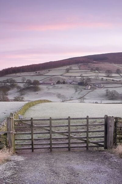 View of frosty gate, drystone walls, pasture and hillside above river in valley at dawn, Barden, Wharfedale