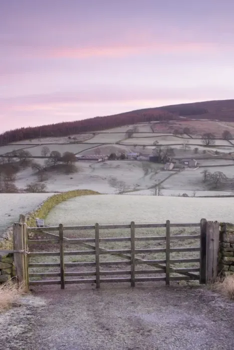 Framed Print : View of frosty gate, drystone walls, pasture and hillside above river in valley at dawn, Barden, Wharfedale