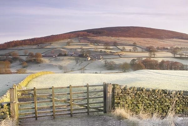 View of frosty gate, drystone walls, pasture and hillside above river in valley, Barden, Wharfedale