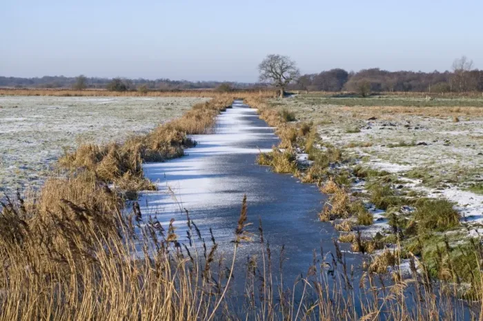 Framed Print : View of frozen dyke across snow covered wetland habitat, Buckenham Marshes RSPB Reserve, River Yare, Yare Valley Framed Print : View of frozen dyke across snow covered wetland habitat, Buckenham Marshes RSPB Reserve, River Yare, Yare Valley