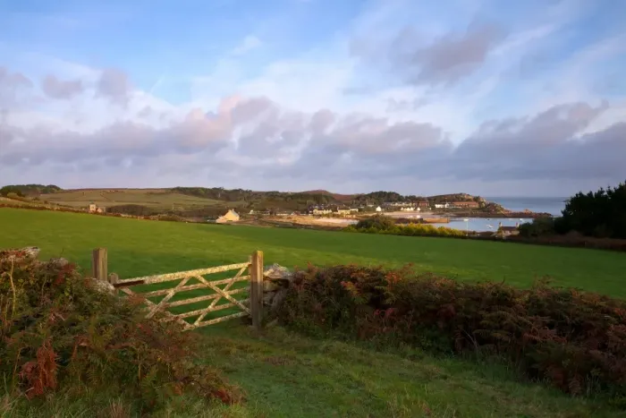 Framed Print : View of gate, pasture and distant coastal village at dawn, Old Grimsby, Tresco, Isles of Scilly, England, september Framed Print : View of gate, pasture and distant coastal village at dawn, Old Grimsby, Tresco, Isles of Scilly, England, september