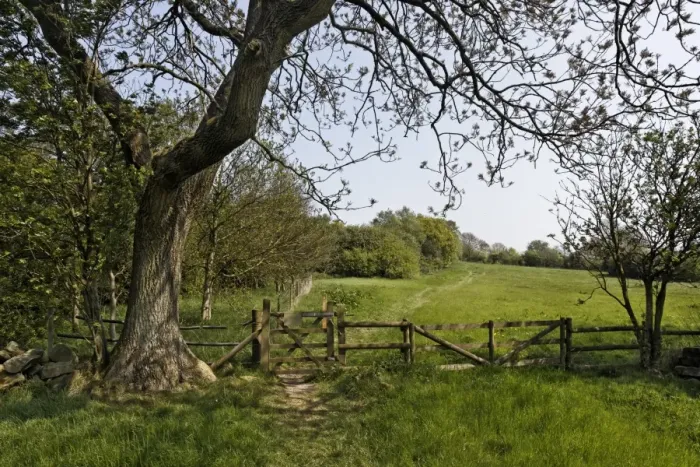 Framed Print : View of gateway at edge of grassland and woodland, Coombes Valley RSPB Reserve, Staffordshire, England, april Framed Print : View of gateway at edge of grassland and woodland, Coombes Valley RSPB Reserve, Staffordshire, England, april