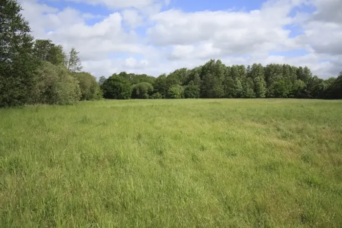Framed Print : View of grassland habitat between Hinderclay Fen and Thelnetham Fen, Little Ouse Valley, Suffolk, England, may