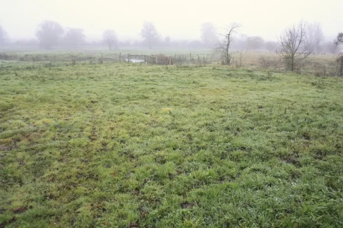 Framed Print : View of grazing marsh habitat in mist, River Black Bourn, Micklemere Reserve, Pakenham, Suffolk, England, november Framed Print : View of grazing marsh habitat in mist, River Black Bourn, Micklemere Reserve, Pakenham, Suffolk, England, november