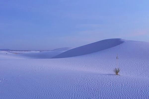 View of gypsum dunes at sunset, White Sands National Monument, New Mexico, U. S. A. December
