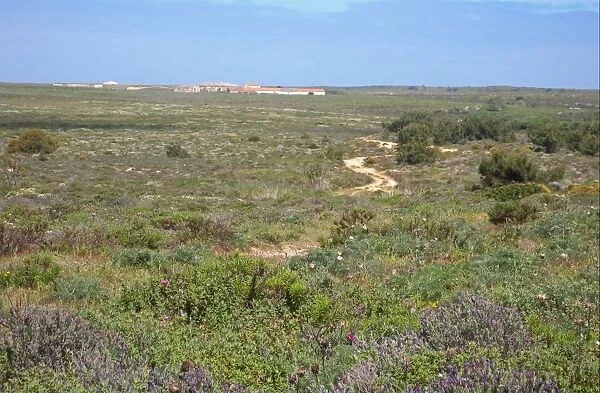 View across heathland habitat to farm, Costa Vicentina N. P. Algarve, Portugal, april