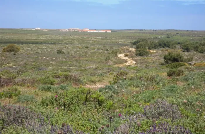 Framed Print : View across heathland habitat to farm, Costa Vicentina N. P. Algarve, Portugal, april Framed Print : View across heathland habitat to farm, Costa Vicentina N. P. Algarve, Portugal, april