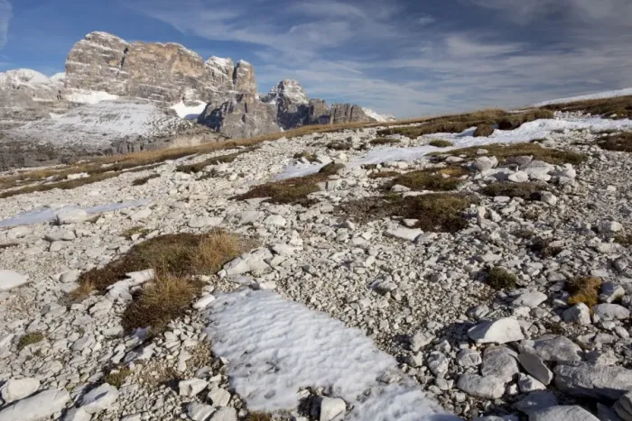 Framed Print : View of high gravelly tundra habitat on mountain slope (at 2400m), Cadini di Misurina, Dolomites, Italian Alps, Italy Framed Print : View of high gravelly tundra habitat on mountain slope (at 2400m), Cadini di Misurina, Dolomites, Italian Alps, Italy