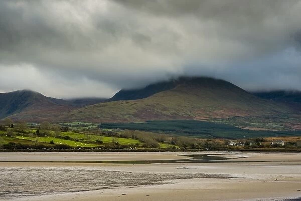 View of hills and beach at low tide, Drum West, Dingle Peninsula, County Kerry, Munster, Ireland, November
