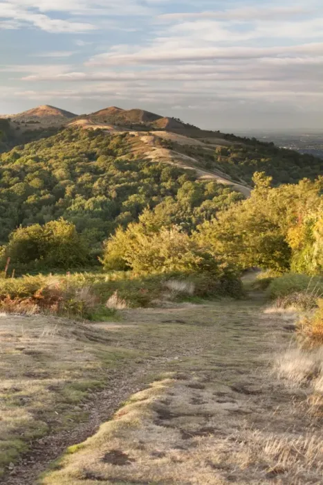 Framed Print : View across hills on early autumn evening, looking from Midsummer Hill, Malvern Hills, Worcestershire, England Framed Print : View across hills on early autumn evening, looking from Midsummer Hill, Malvern Hills, Worcestershire, England