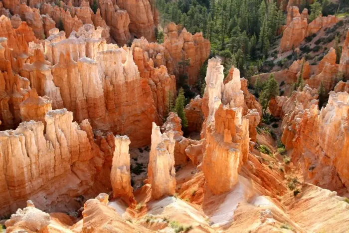 Framed Print : View of hoodoos and cliffs at dawn, rock erosion in natural amphitheatre, Bryce Canyon, Bryce Canyon N. P. Utah, U. S. A Framed Print : View of hoodoos and cliffs at dawn, rock erosion in natural amphitheatre, Bryce Canyon, Bryce Canyon N. P. Utah, U. S. A