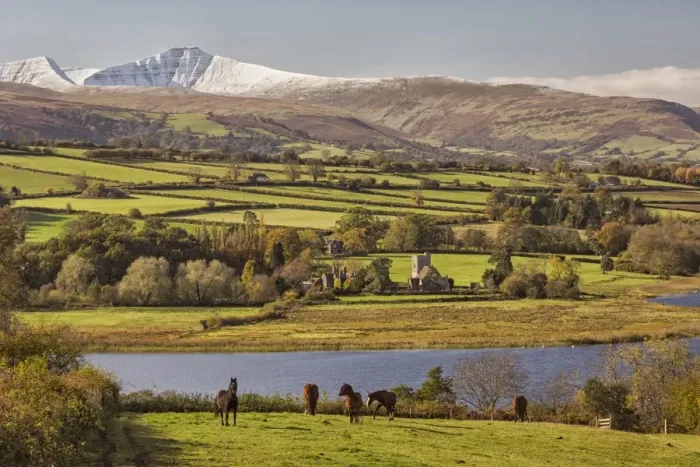 Framed Print : View of horses standing in pasture, lake and snow covered hills in distance, Llangorse Lake, Penyfan Framed Print : View of horses standing in pasture, lake and snow covered hills in distance, Llangorse Lake, Penyfan