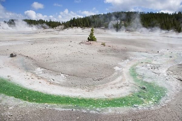View of hotspring outlet coloured with thermophilic bacteria, Pinwheel Geyser, Porcelain Basin, Norris Geyser Basin