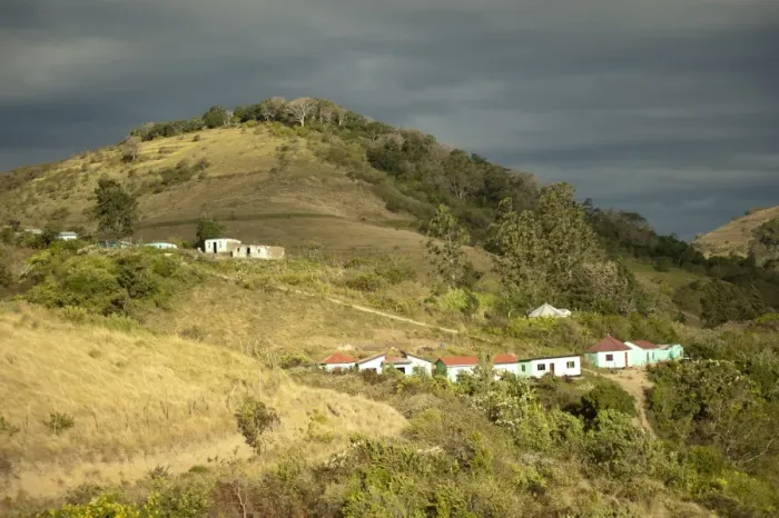 Framed Print : View of houses on hillside, Pondoland, Eastern Cape (Transkei), South Africa, July Framed Print : View of houses on hillside, Pondoland, Eastern Cape (Transkei), South Africa, July