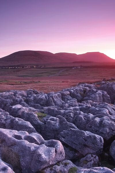 View of Ingleborough at sunset, from limestone pavement at Ribblehead, Ribblesdale, Yorkshire Dales N. P