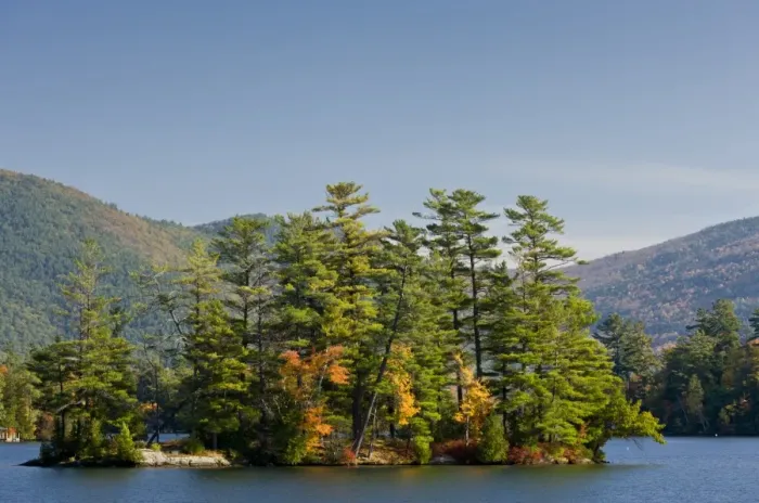 Framed Print : View of island in lake with pines and maples, Lake George, Great Appalachian Valley, Adirondack Mountains Framed Print : View of island in lake with pines and maples, Lake George, Great Appalachian Valley, Adirondack Mountains