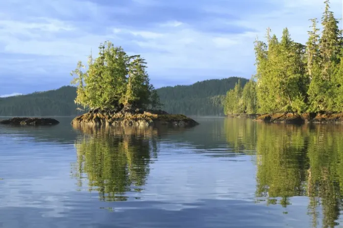 Framed Print : View of islet and temperate coastal rainforest in evening, Lama Passage, Inside Passage, Coast Mountains