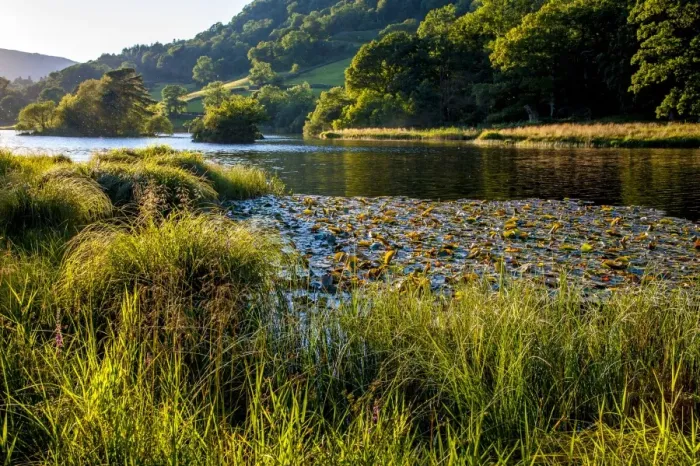 Framed Print : View of lake in evening sunlight, Rydal Water, Rothay Valley, Ambleside, Lake District N. P. Cumbria, England, August Framed Print : View of lake in evening sunlight, Rydal Water, Rothay Valley, Ambleside, Lake District N. P. Cumbria, England, August