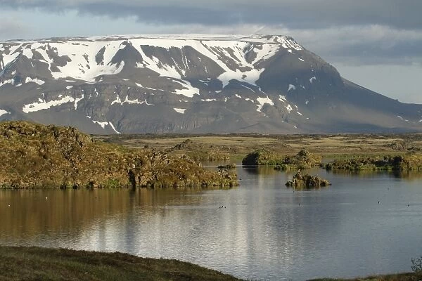 View of lake habitat and distant mountain, Lake Myvatyn, Blafjall, Myvatn, Iceland, June