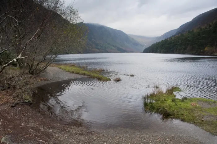 Framed Print : View of lake habitat, Upper Lake, Wicklow Way Walking Route, Glendalough Valley, Wicklow Mountains N. P Framed Print : View of lake habitat, Upper Lake, Wicklow Way Walking Route, Glendalough Valley, Wicklow Mountains N. P