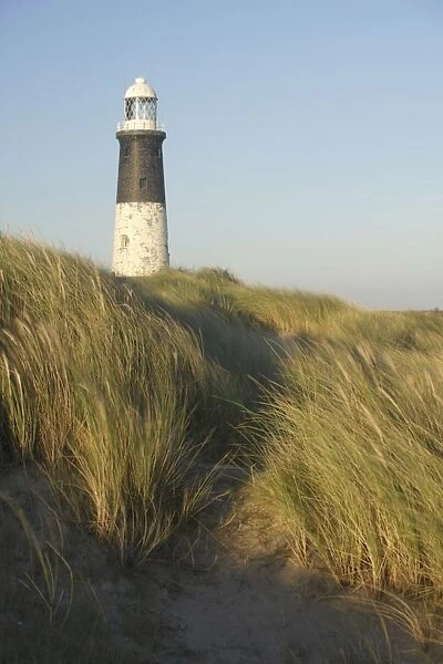 View of lighthouse and Marram Grass (Ammophila arenaria) growing on coastal sand dunes in evening light, Spurn Point Lighthouse, Spurn Point, East Yorkshire, England, october