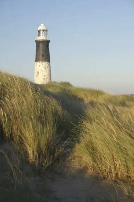 Framed Print : View of lighthouse and Marram Grass (Ammophila arenaria) growing on coastal sand dunes in evening light, Spurn Point Lighthouse, Spurn Point, East Yorkshire, England, october